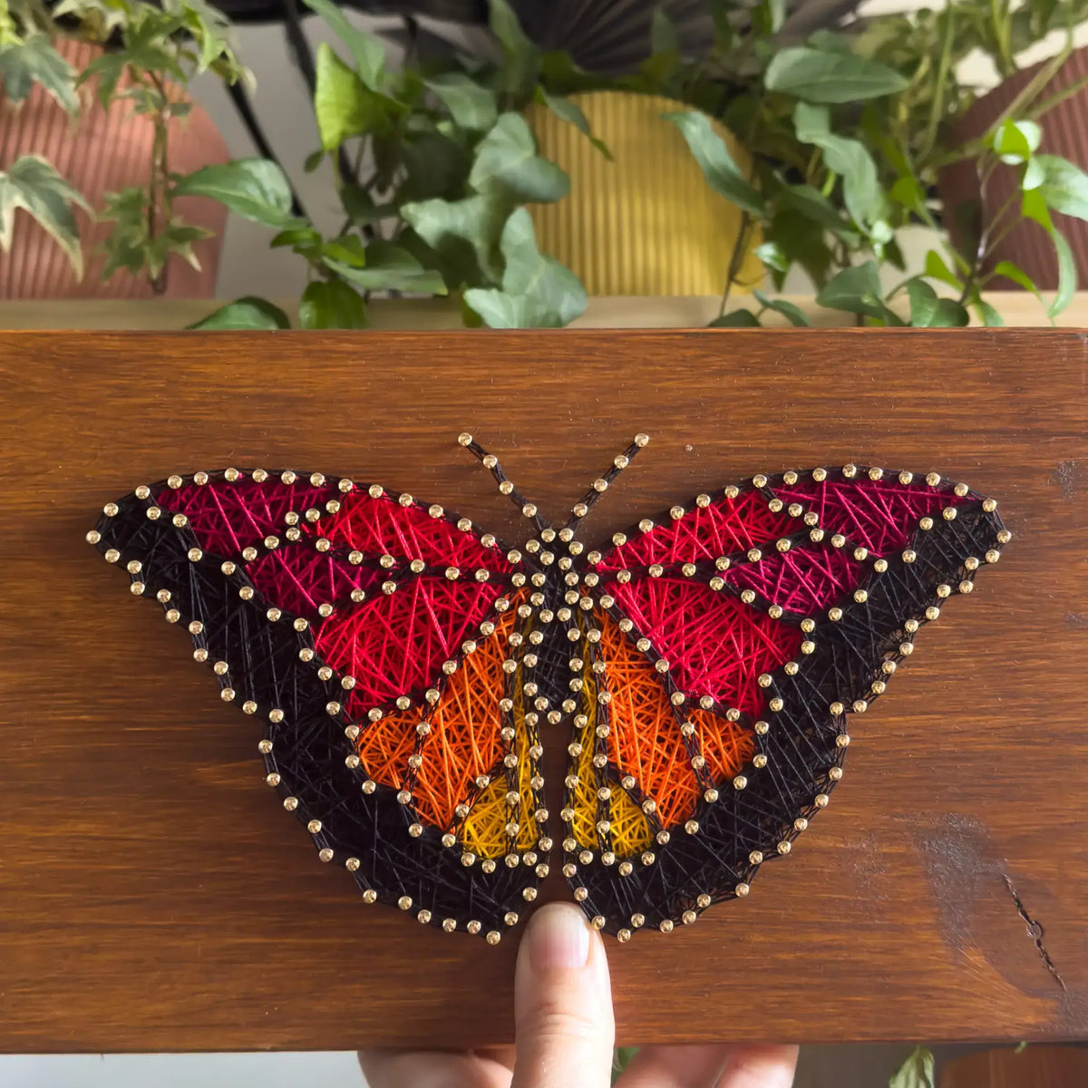 String Butterflies Butterfly String Art Kit for Adults | Nature-Inspired Craft Kit Gift