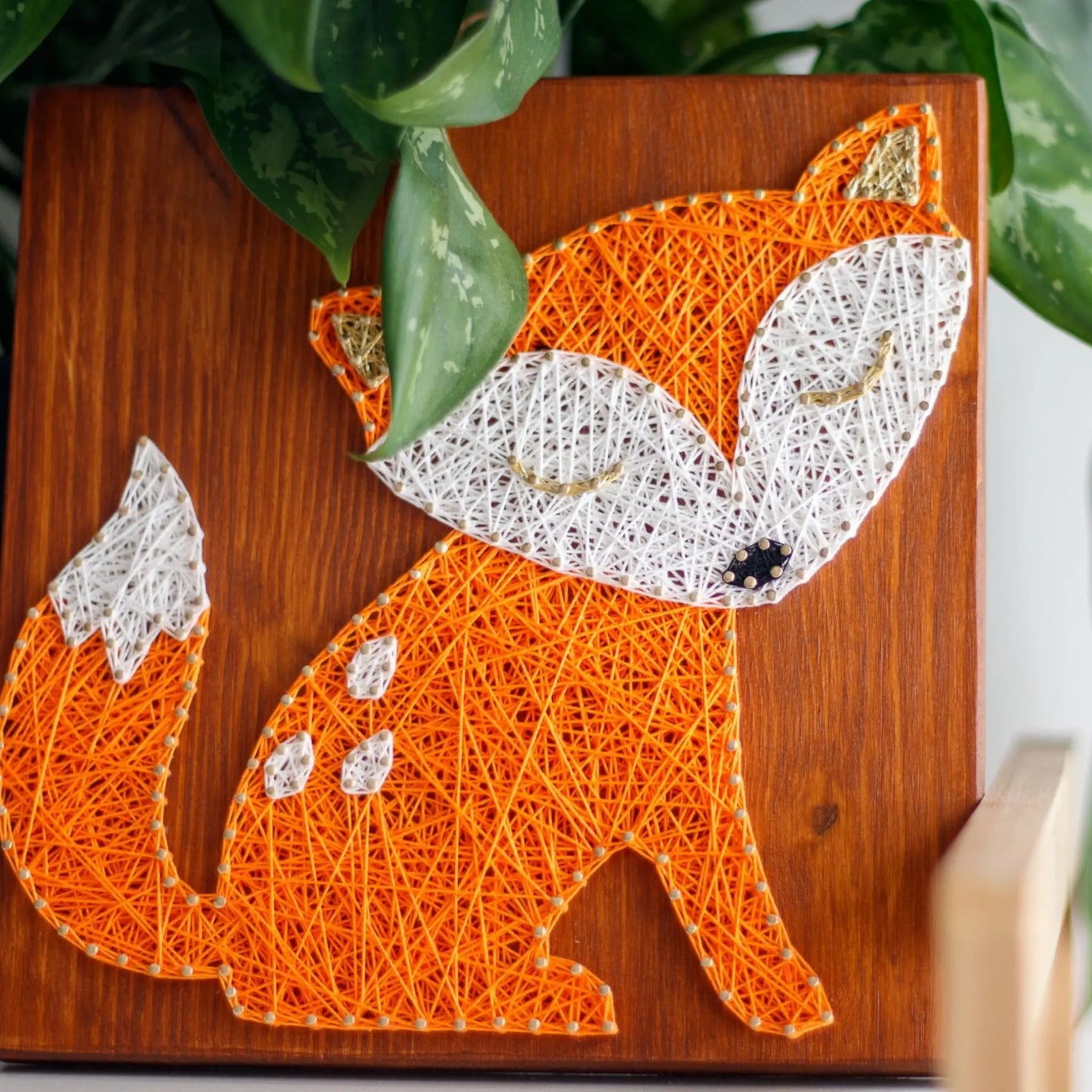 Fox string art pattern design featuring a cute orange fox with closed eyes, displayed with plant leaves in the background. Made using GoodStrings string art pattern.