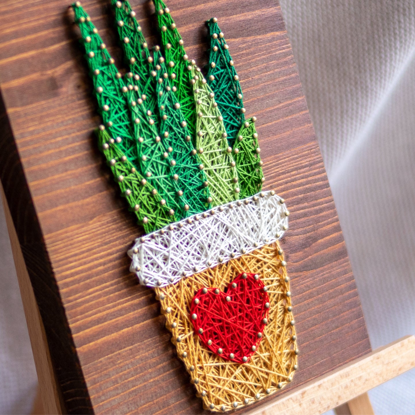 DIY string art kit featuring an aloe vera plant in a pot with a red heart created with threads on a dark wooden board by GoodStrings