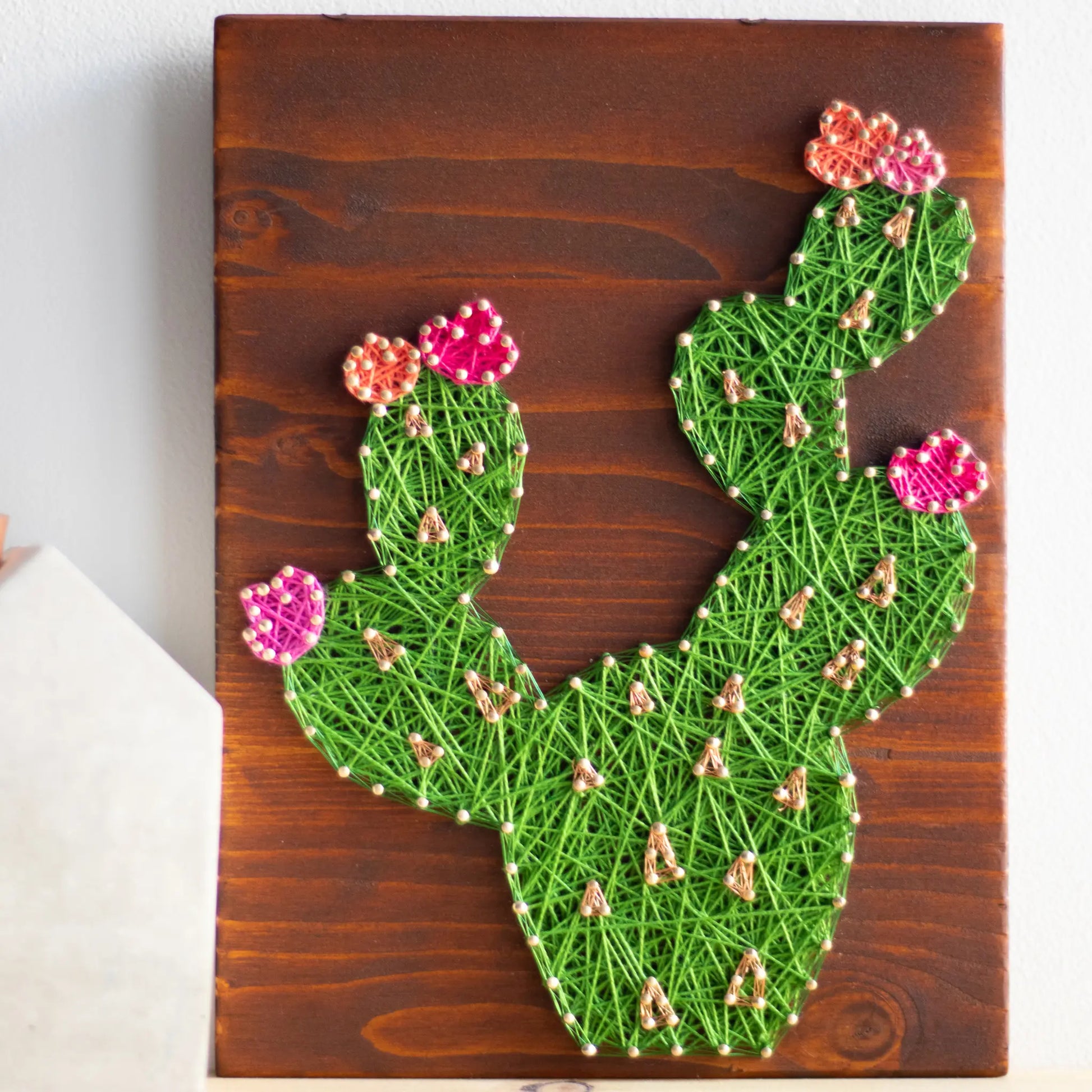 DIY string art kit featuring a green cactus with colorful flowers created with threads on a dark wooden board by GoodStrings