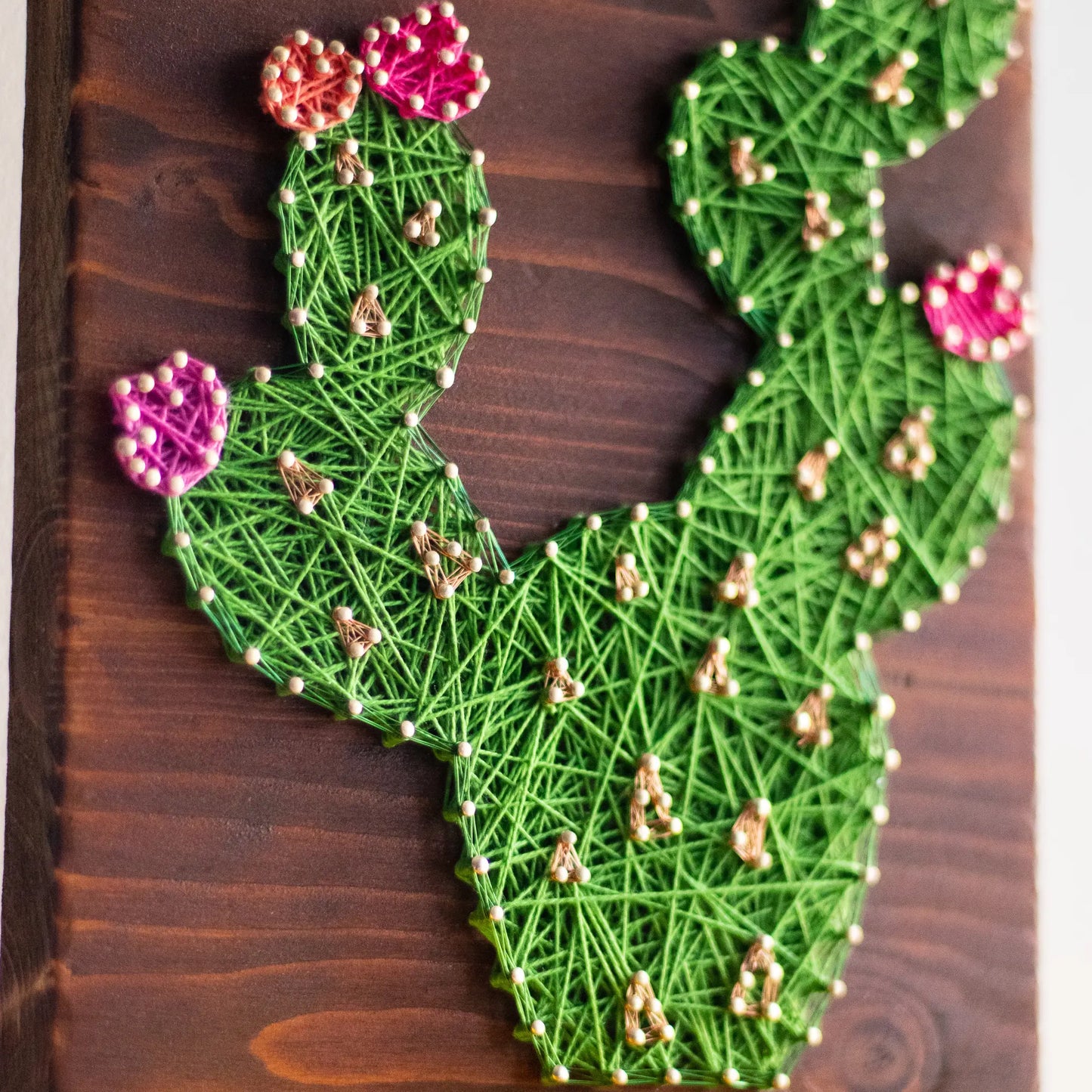 DIY string art kit featuring a green cactus with colorful flowers created with threads on a dark wooden board by GoodStrings