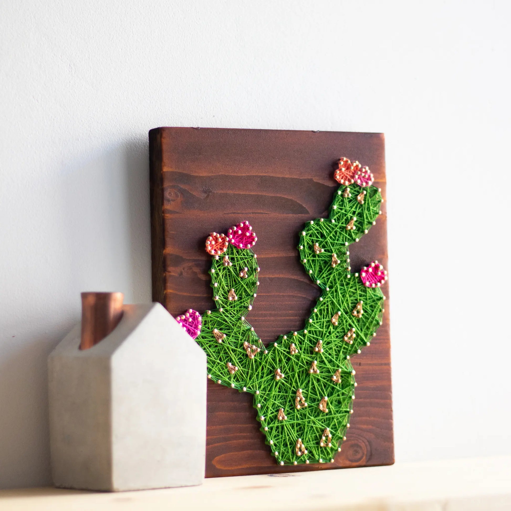 DIY string art kit featuring a green cactus with colorful flowers created with threads on a dark wooden board by GoodStrings