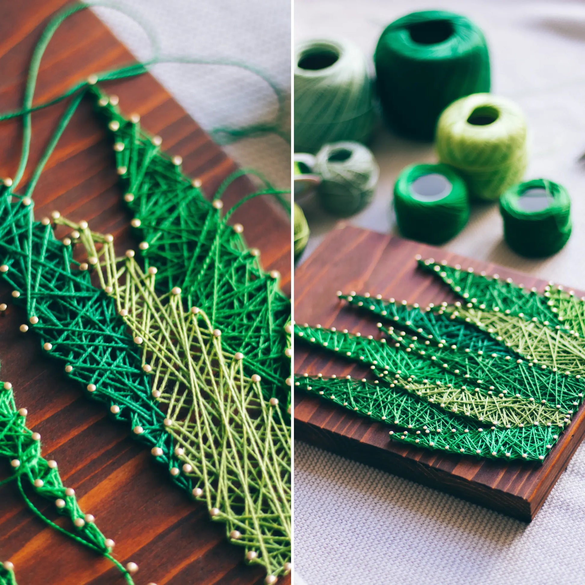 A vibrant aloe vera string art sign made with green string on a dark wooden background, showcasing a beautiful and natural aloe vera plant design.