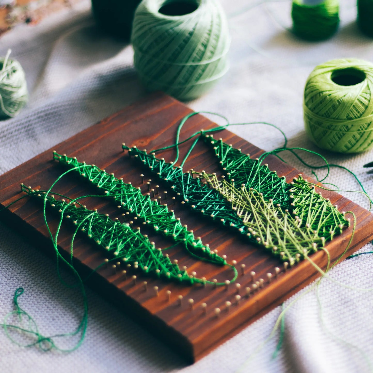 A vibrant aloe vera string art sign made with green string on a dark wooden background, showcasing a beautiful and natural aloe vera plant design.