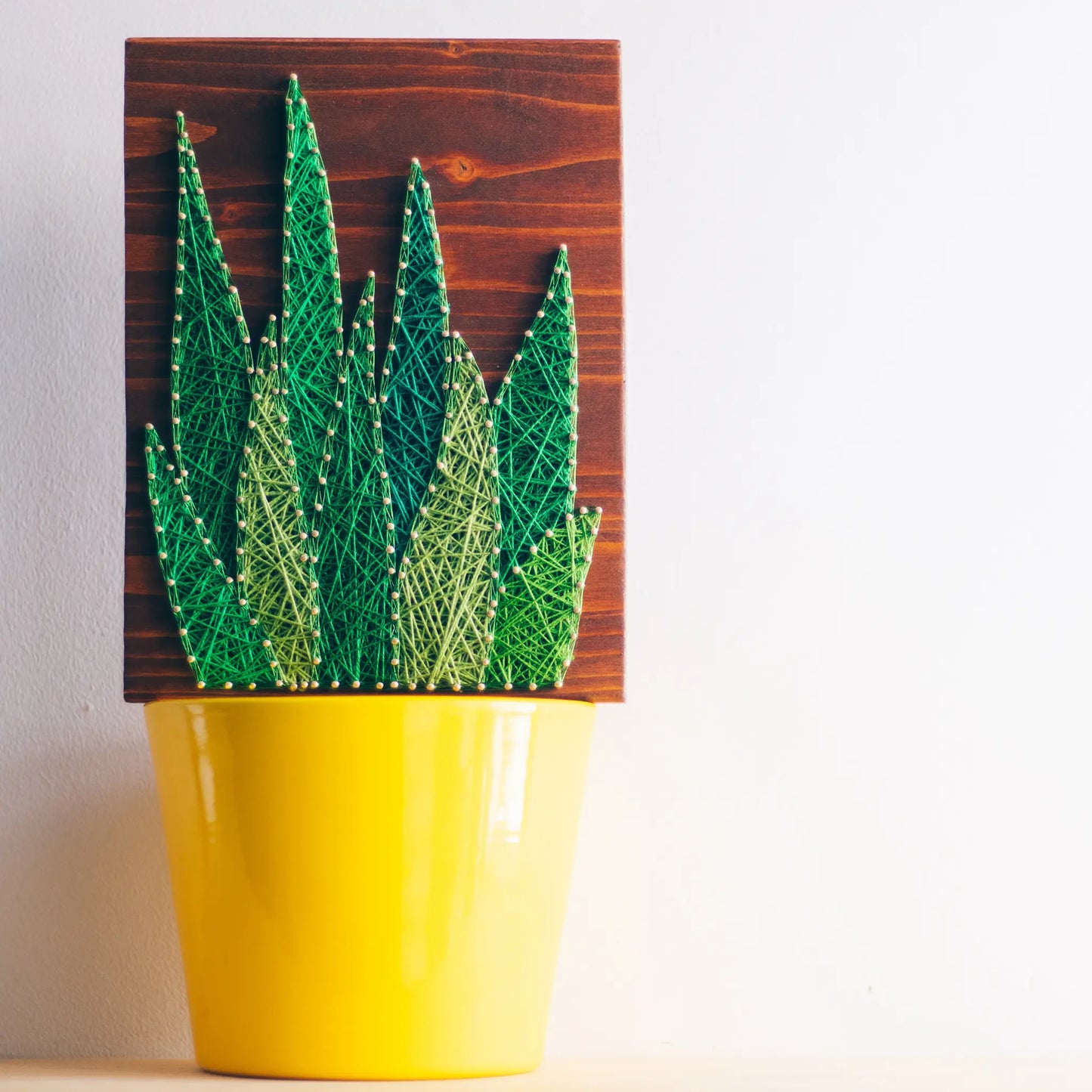 A vibrant aloe vera string art sign made with green string on a dark wooden background, showcasing a beautiful and natural aloe vera plant design.