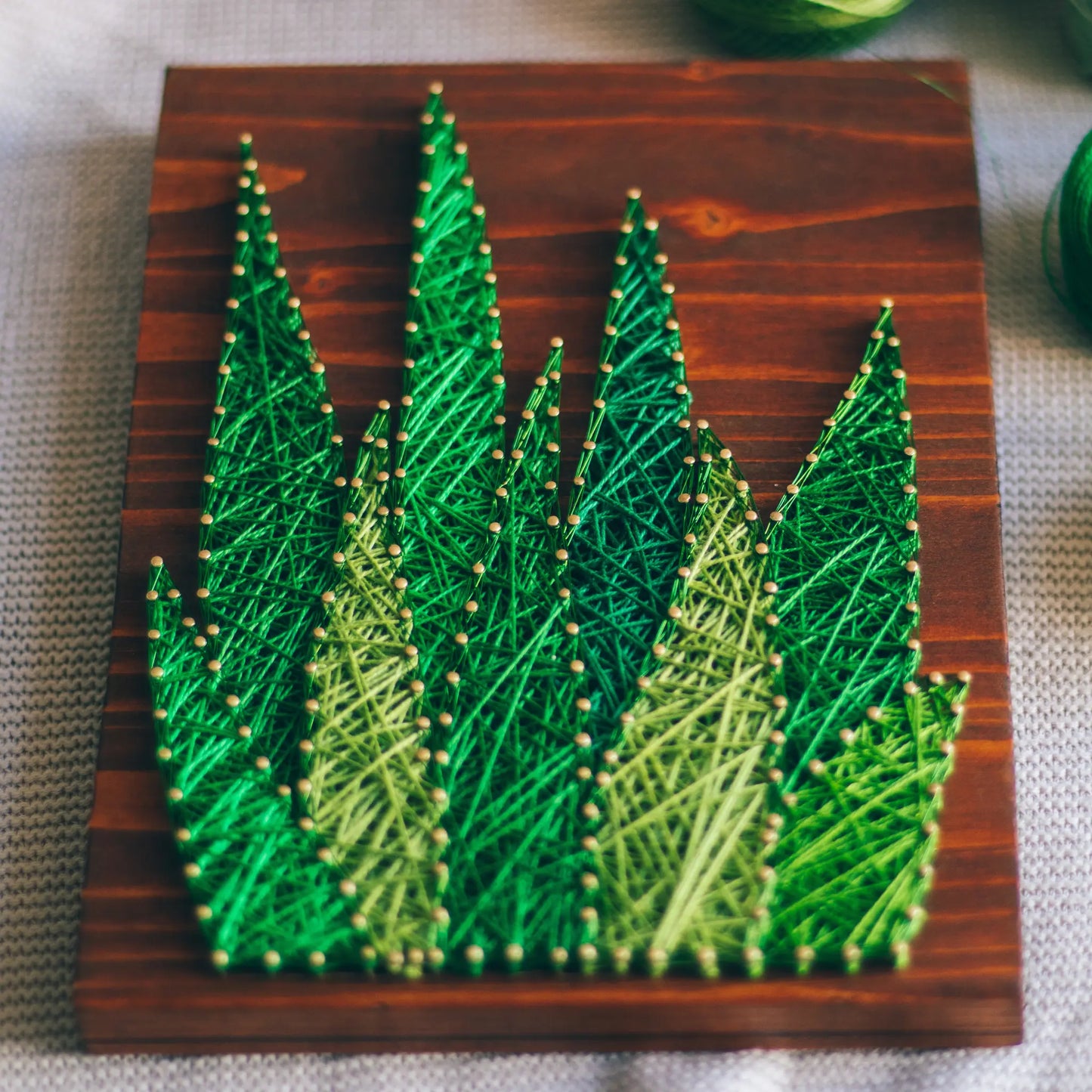 A vibrant aloe vera string art sign made with green string on a dark wooden background, showcasing a beautiful and natural aloe vera plant design.