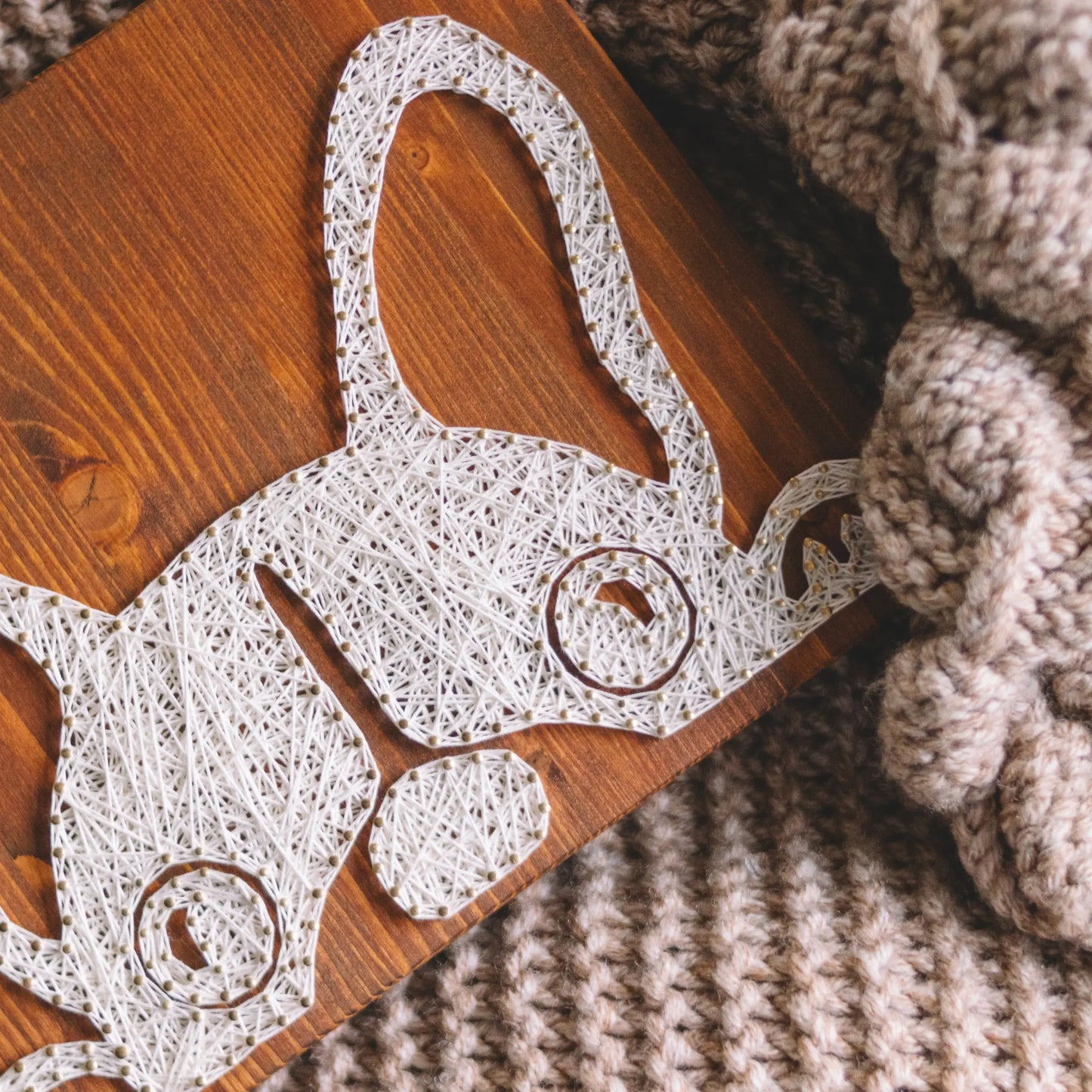 DIY string art kit featuring a cute French Bulldog silhouette outlined with ivory thread on a rustic wooden board by GoodStrings - top view