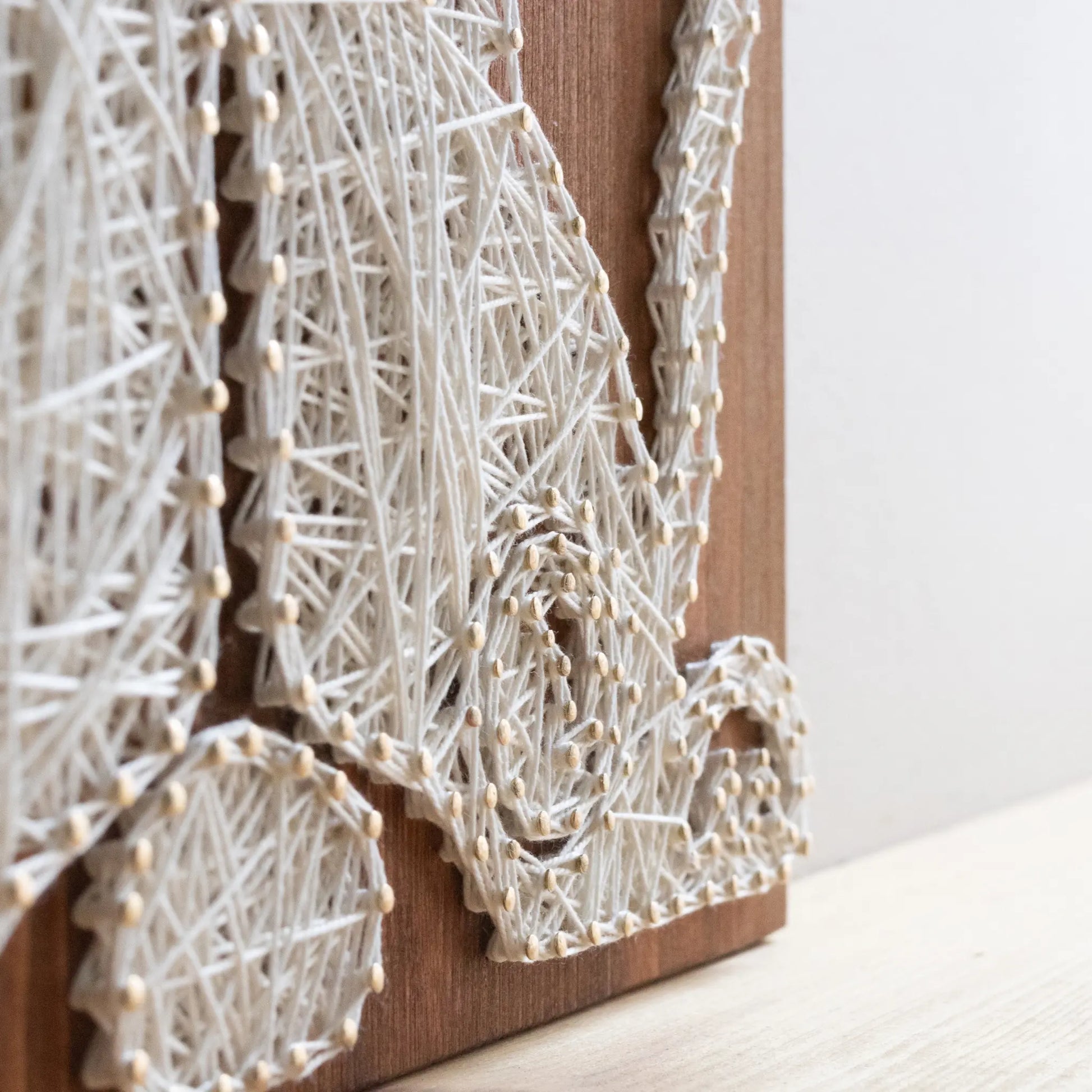 DIY string art kit featuring a cute French Bulldog silhouette outlined with ivory thread on a rustic wooden board by GoodStrings - details shot