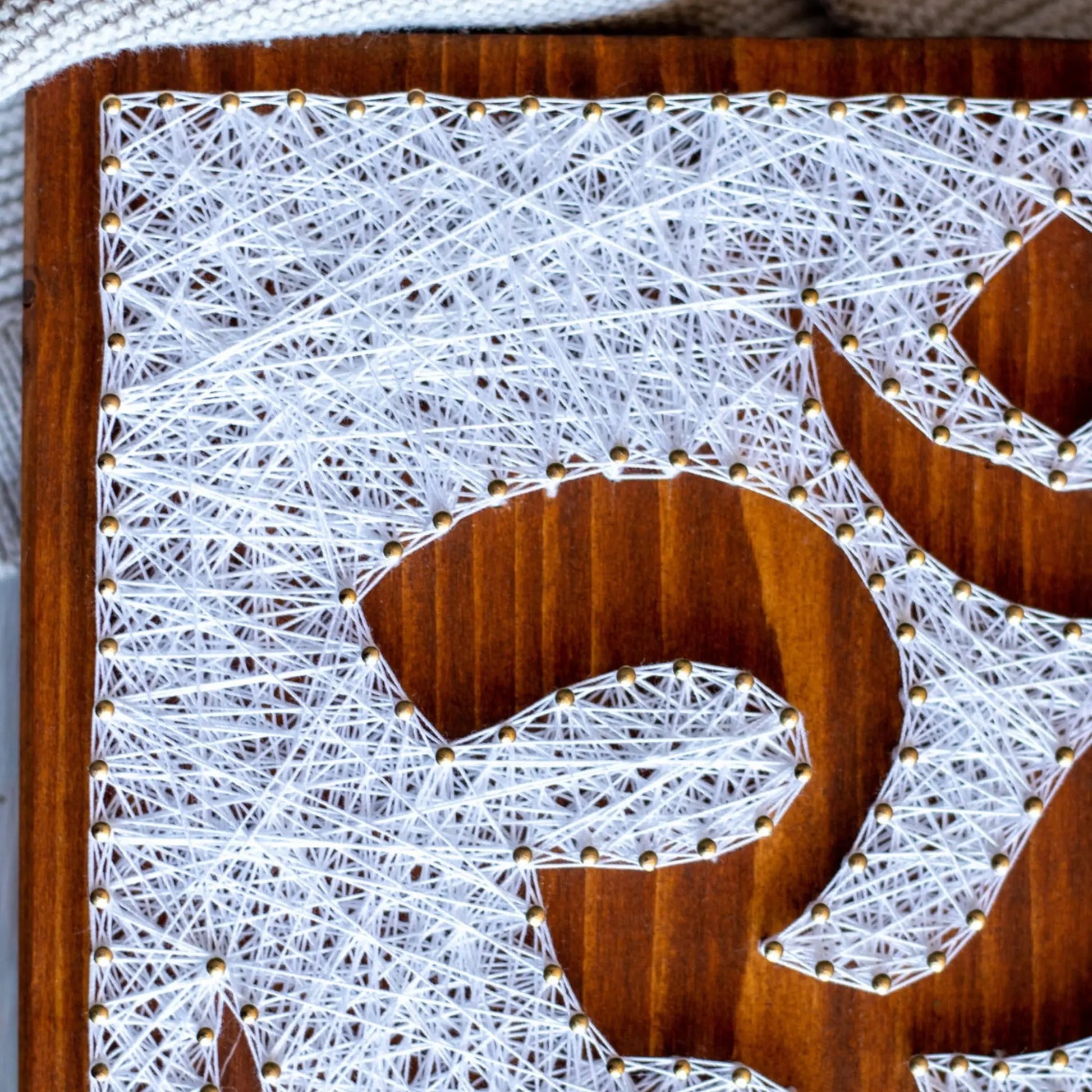 DIY string art kit featuring an Om symbol outlined with white thread on a rustic wooden board by GoodStrings - details