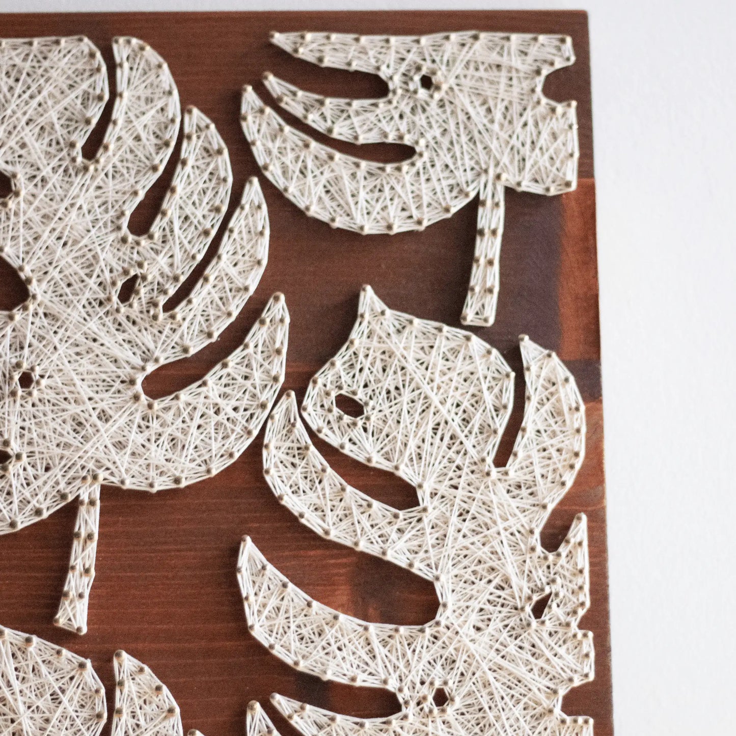 String Art Pattern - Monstera Leaves