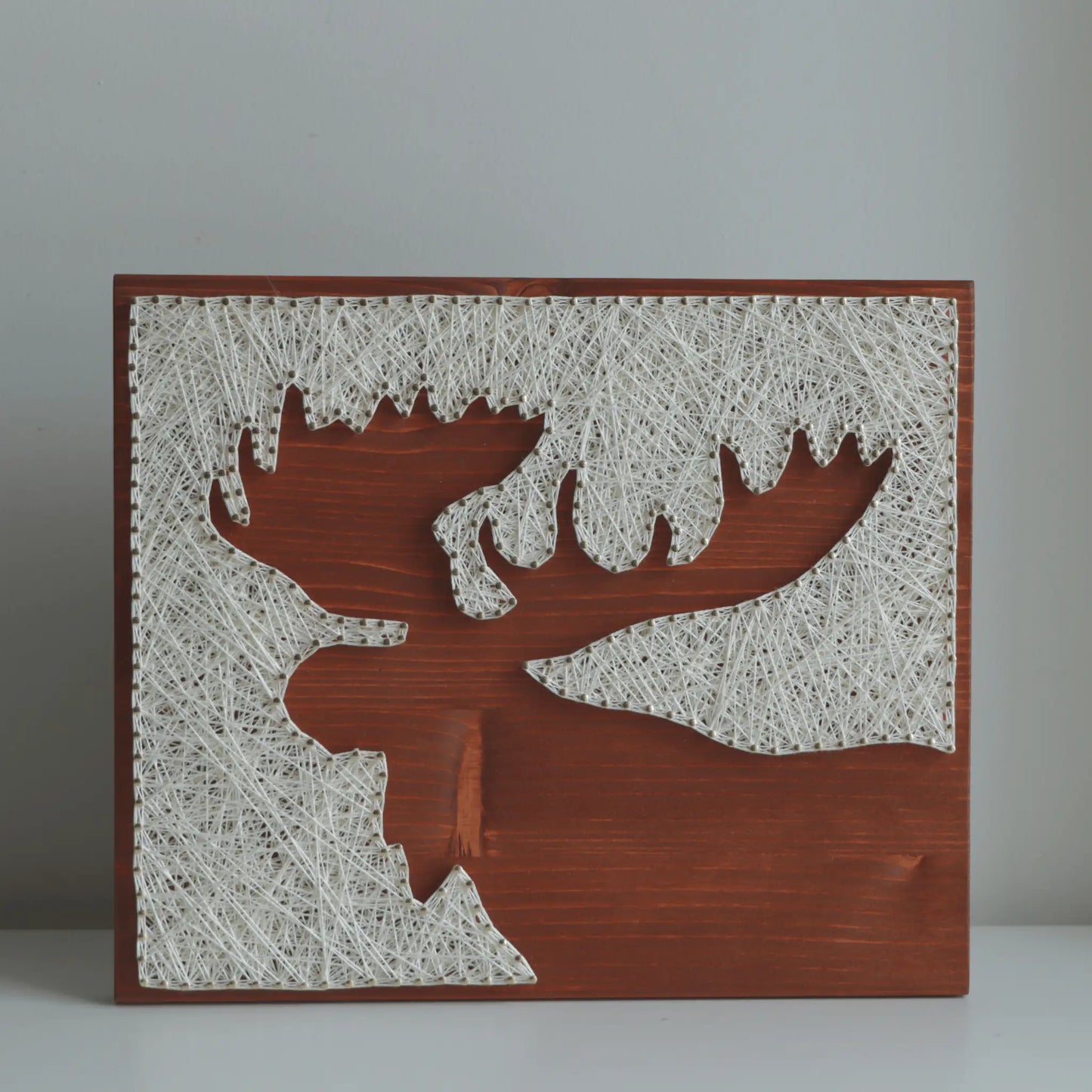 Front view of a finished moose silhouette string art piece made with ivory thread and nails on a stained wooden base, showing the full design of the DIY string art kit for adults.