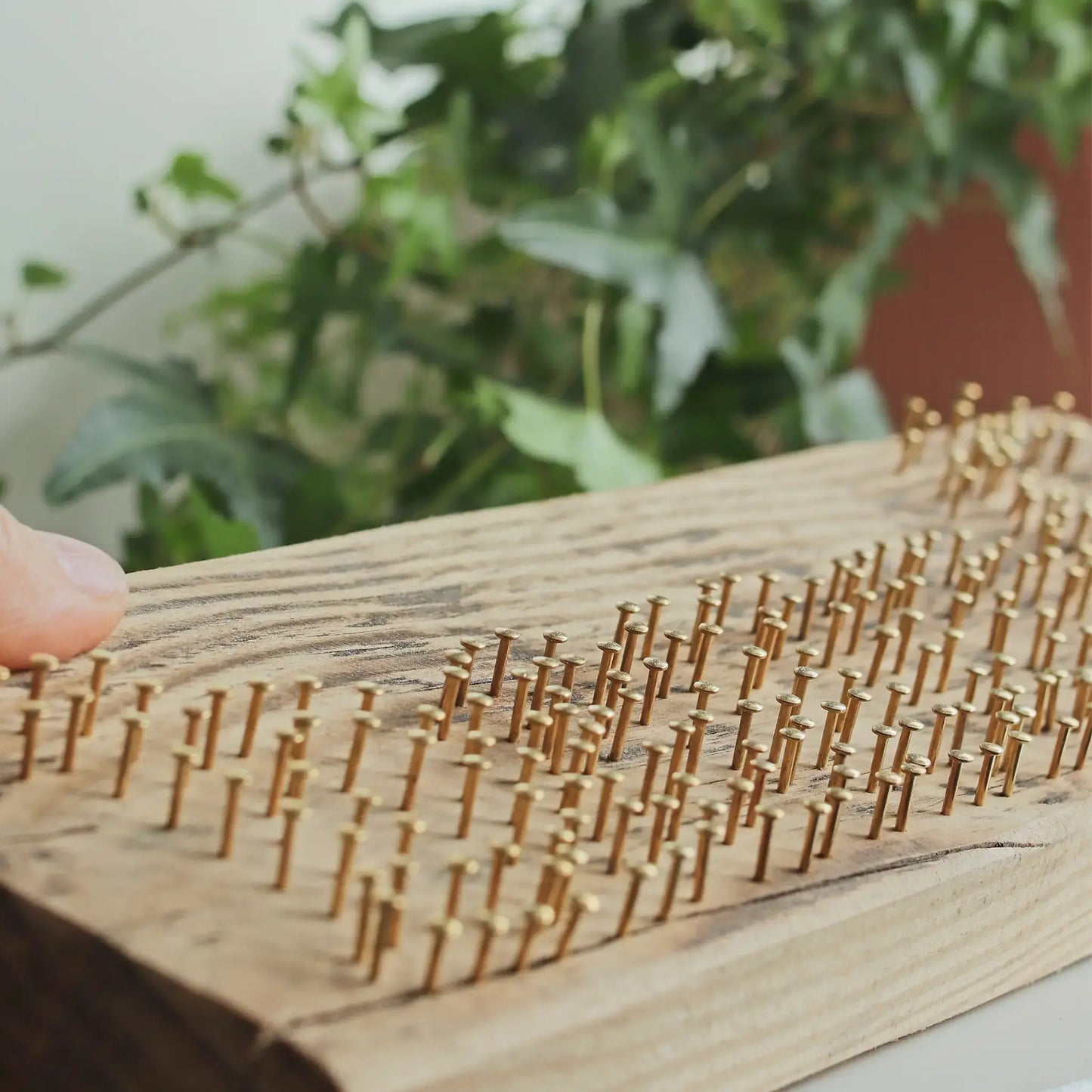 Premium brass-plated nails hammered into a wooden base, ideal nails for string art projects on pine, spruce, and hardwood.