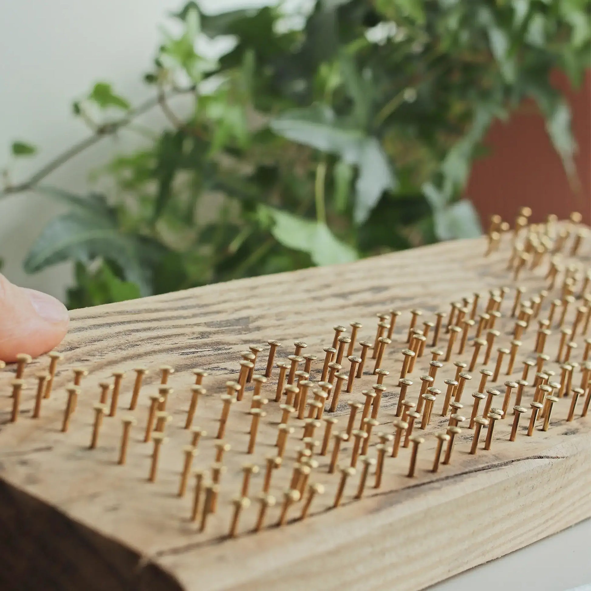 Premium brass-plated nails hammered into a wooden base, ideal nails for string art projects on pine, spruce, and hardwood.